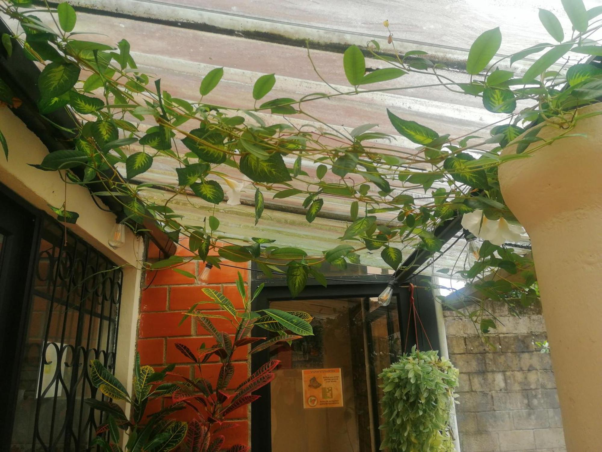 Capybara Home Stay Mindo Exterior foto